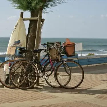 Camping Des Pins : vélos près d'une plage avec vague, planche à voile appuyée contre un arbre.