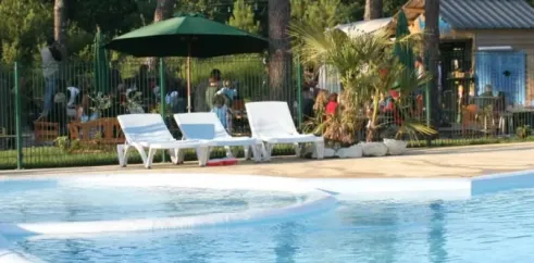 Camping Des Pins : chaises longues blanches près de la piscine, parasol vert, pins en arrière-plan