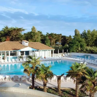 Piscine avec chaises longues et palmiers au Camping Les Grenettes