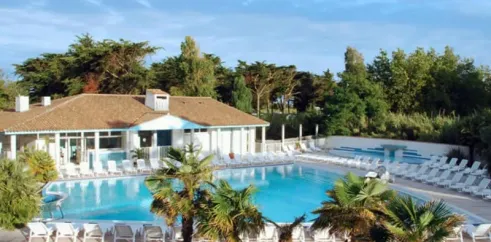 Piscine avec chaises longues et palmiers au Camping Les Grenettes