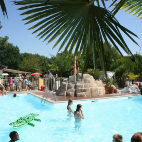 Piscine avec enfants et flotteur crocodile, palmier au premier plan, camping familial.