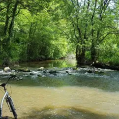 Vélo près d'un cours d'eau en forêt au Camping du Port Mulon