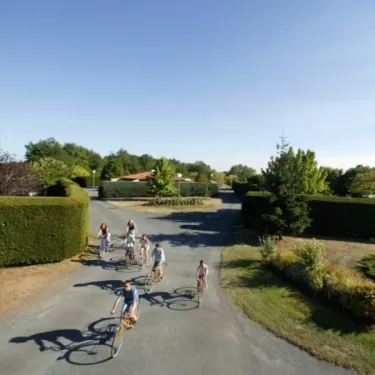 Camping La Nouvelle Croze : groupe de cyclistes sur une route bordée de haies vertes sous un ciel bleu.