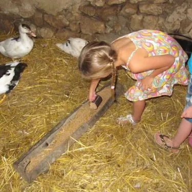 Enfant nourrissant des canards dans une ferme, Camping Ferme de Prunay