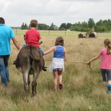 Famille guidant un âne dans un pré, Camping Ferme de Prunay