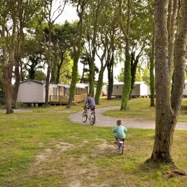 Enfants qui vélotent dans le parc du camping Les Paludiers entre des cabanes mobiles.