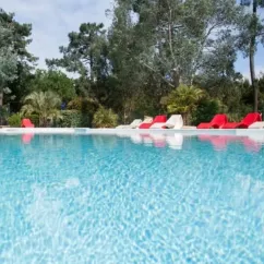 Camping Des Pins : piscine bleue avec chaises longues rouges et blanches alignées, arbres en fond