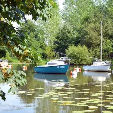 Bateaux amarrés dans un lac entouré de verdure