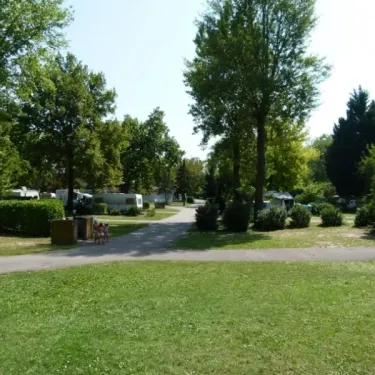 Vues des caravanes et sentiers du camping L'Ile du Rhin