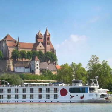 Bateau fluvial à côté d'un château sur la rive du Rhin