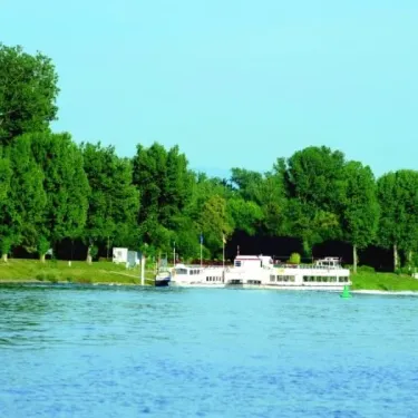 Camping L'Ile du Rhin : bateau flottant sur le Rhin avec arbres en arrière-plan