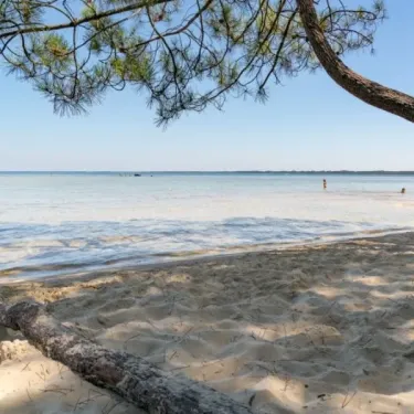 Plage de Camping Slow Village avec eau claire, sable fin et branche d'arbre en premier plan.