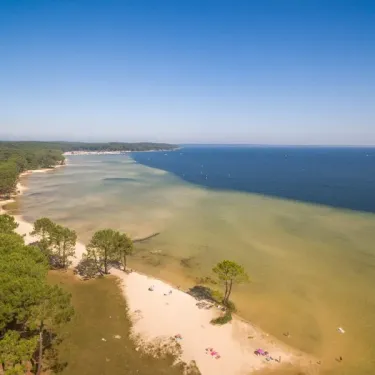 Plage bordée de pins avec eau turquoise et baigneurs au Camping Slow Village.