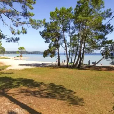 Vue sur plage avec pins, enfants jouant près de l'eau à Camping Slow Village.