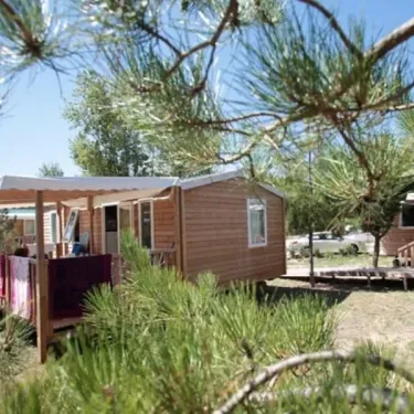 Camping Les Demoiselles : mobil-home en bois avec balcon et pins
