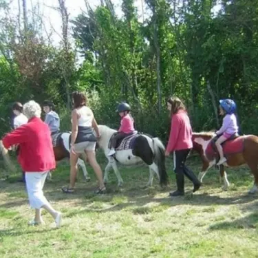 Camping Les Iles - randonnée à cheval avec enfants et adultes