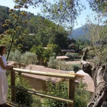 Une femme admire le panorama du Camping Le Galoubet avec ses cabanes en bois et ses oliviers.
