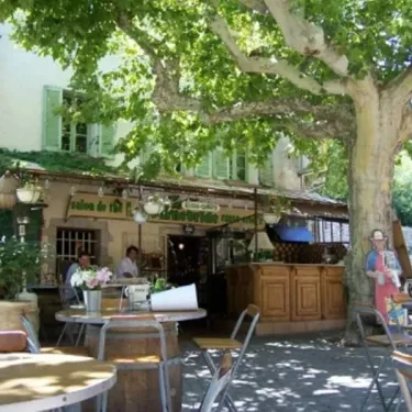 Camping Le Galoubet : terrasse de café en plein air sous un grand arbre feuillu.