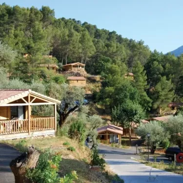 Vue du Camping Le Galoubet avec ses cabanes en bois, son chemin pavé et sa végétation dense de pins et d'oliviers.