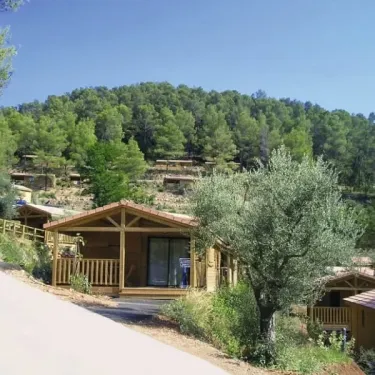Camping Le Galoubet avec cabanes en bois et forêt de pins en arrière-plan