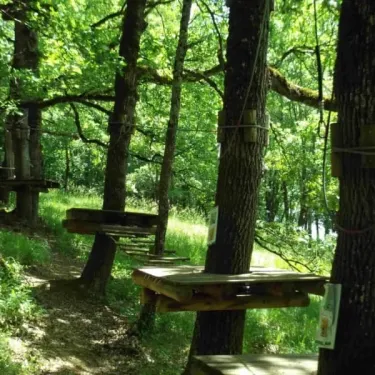 Sentier d'arbre avec plateformes en bois dans une forêt, Camping Lac aux Oiseaux