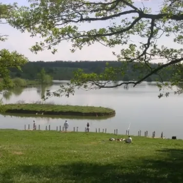 Vue du lac depuis l'ombre d'un arbre, avec des personnes pêchant sur un quai en bois.