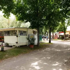 Camping Le Pré Cathare : mobile home en bois sous grands arbres