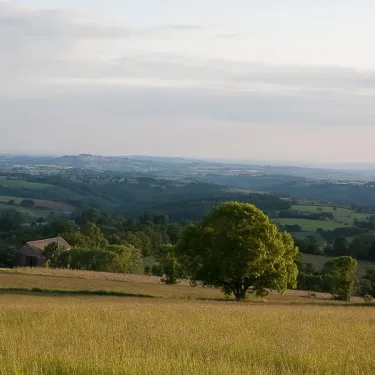 Vue panoramique sur les collines verdoyantes avec un arbre isolé, Camping Hameau Saint Martial