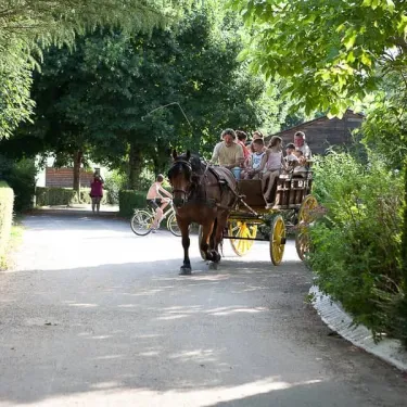 Chariot tiré par un cheval dans le parc du Camping Hameau Saint Martial