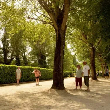 Camping Les Ondines : promenade sous grands arbres