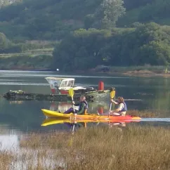 Deux personnes en kayak jaune sur un lac entouré de végétation dense