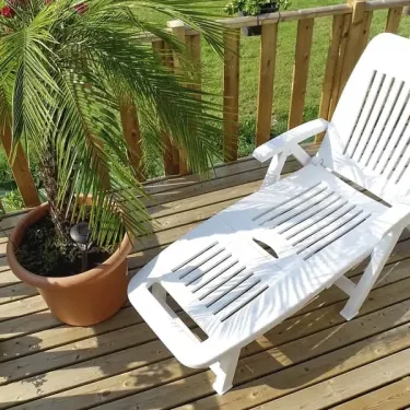 Chaise longue blanche sur une terrasse en bois avec palmier en pot