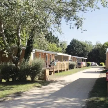 Camping Le Vorlen : rangée de mobil-homes en bois entourés d'arbres et de buissons verts.