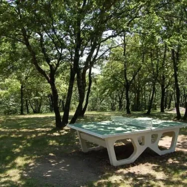 Table de ping-pong en plein air dans un parc verdoyant