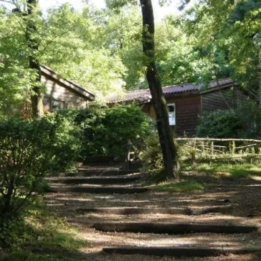 Camping Lé Moulis : allée en pierre menant à des cabanes en bois au milieu d'une forêt verdoyante.