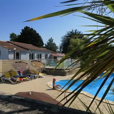 Piscine visible à travers les feuilles de palmier, chaises longues et mobil-home au Camping Le Parc de la Grève