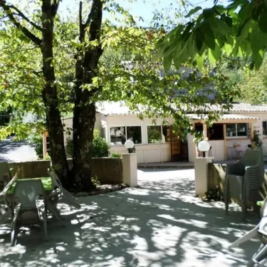 Terrasse ombrée avec tables et chaises autour d'un grand arbre au Camping Le Verdier