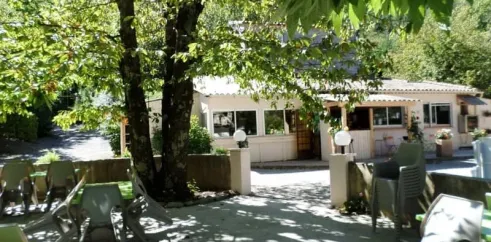 Terrasse ombrée avec tables et chaises autour d'un grand arbre au Camping Le Verdier
