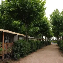 Camping Lou Comtadou avec des mobil-homes en bois entourés d'arbres