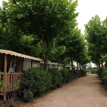 Camping Lou Comtadou avec des mobil-homes en bois entourés d'arbres