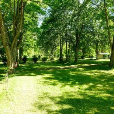 Parc naturel verdoyant autour du Camping Le Trel