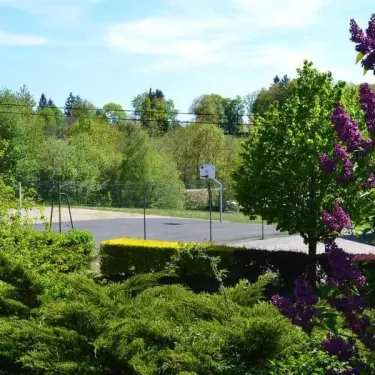 Camping Yaloer : parcours de basket-ball entouré d'arbres et de buissons fleuris