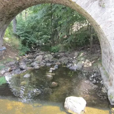 Pont en pierre au-dessus d'une rivière avec des rochers et une végétation dense.