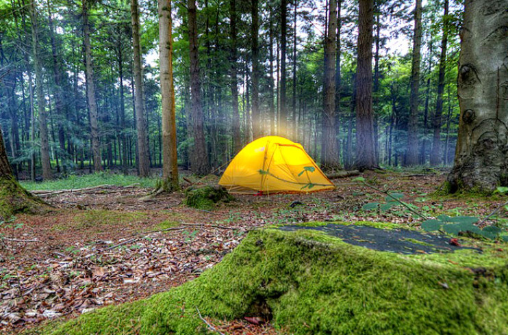 Les avantages du camping sauvage
