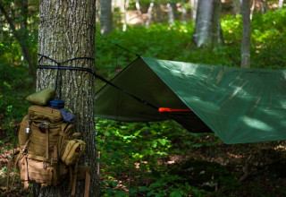 Camping sauvage en forêt