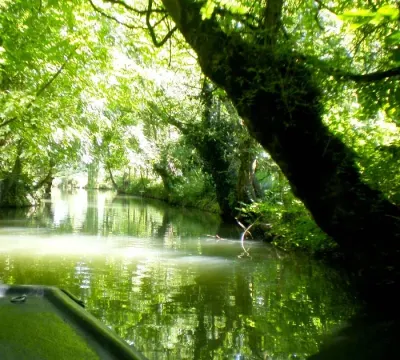 Le marais Poitevin ou Venise Verte, Deux-Sèvres 
