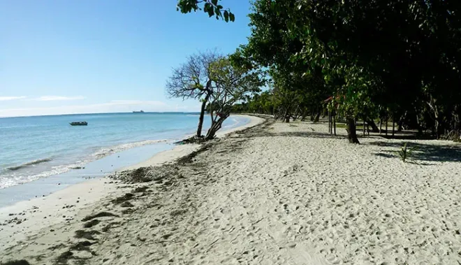Plage des Salines, Guadeloupe, Caraïbes