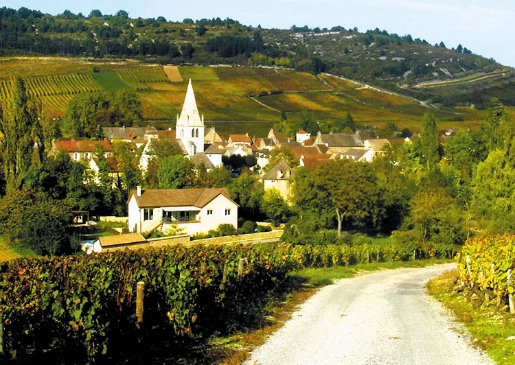 Faire du camping en Côte d’Or