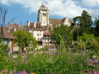 Basilique Collégiale Notre Dame de Dole, Jura