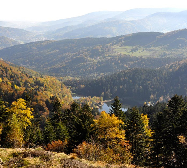 Les campings nature en Alsace  choisissez votre camping en Alsace